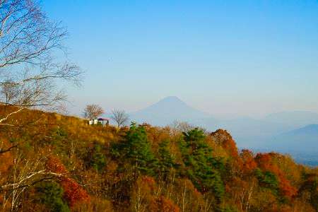 秋色と富士山