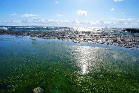 ボーダーライン