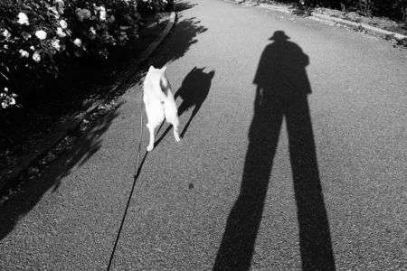 植田正治へのオマージュ