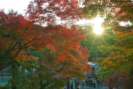 鎌倉 円覚寺と横須賀線
