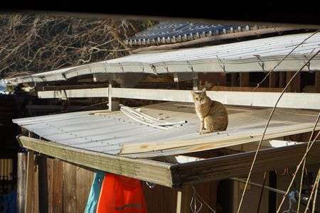 なに撮ってんのよ。