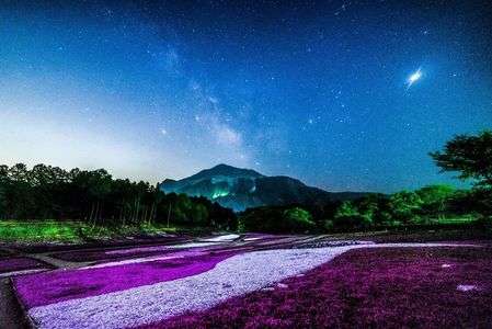 天の川と芝桜