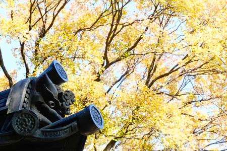 巽の鬼と榎の黄葉