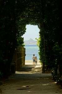 備瀬～フクギ並木より島を望む～