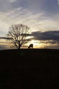 若草山山頂にて