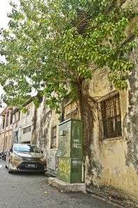 旅行写真、マレーシア