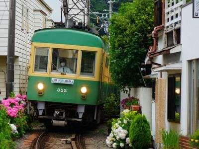 紫陽花の咲く街で