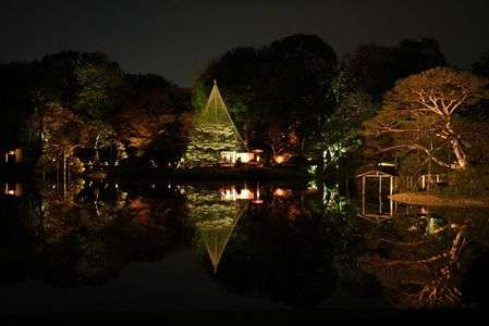 六義園　ライトアップ