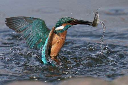 大物ゲット❗️