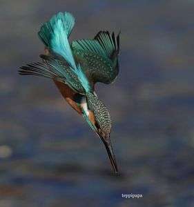 行きまーす❗️