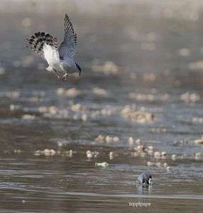 ロックオン❗️