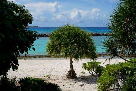 トロピカルアイランド