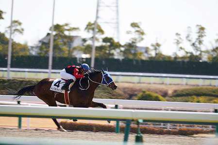 中京競馬場