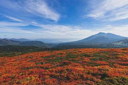 赤と青のコントラスト