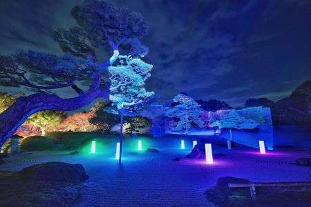 枯山水と光の共演