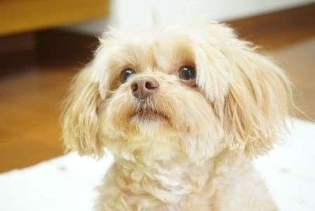 ママ・・大好きだよ