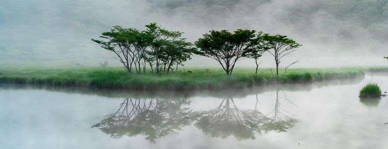 覚満淵の朝霧②