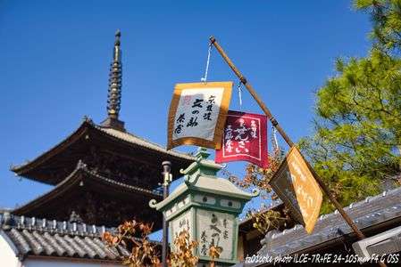 Reflections In A Palace Lake@京都Photo walk③