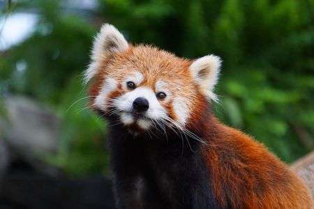 神戸どうぶつ王国