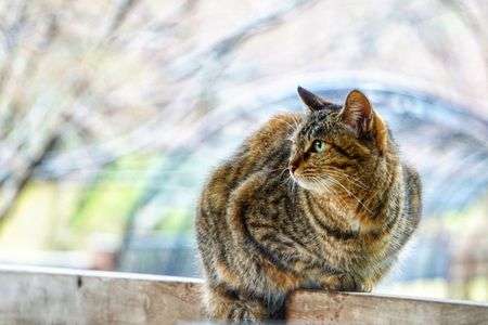 この子と二人きり