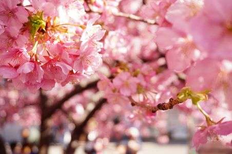 想いを託します