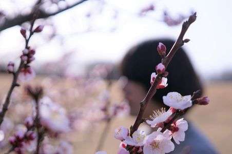 また一つ　小さく小さく咲き誇る