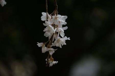 学習の成果は如何に？