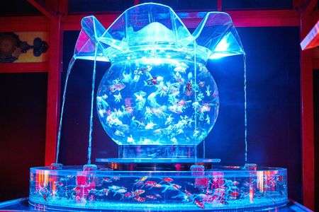 アートアクアリウム展 in 熊本