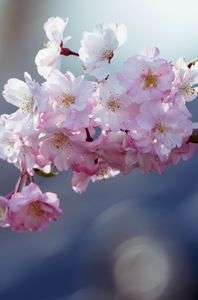 グラデーション美