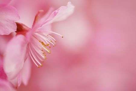 キミの横顔も美しい…