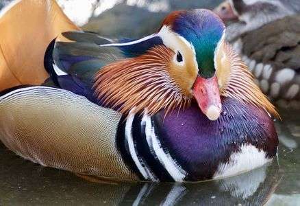 3/25 県立相模原公園③