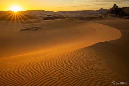 サハラ　アルジェリア　