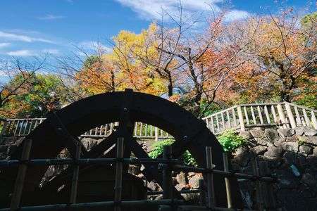 #ファインダー越しの私の世界