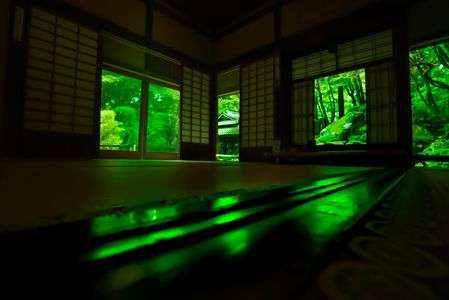 教林坊の床青もみじ