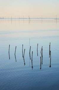 江川海岸の夕日