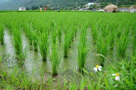 台湾（2018年5月）