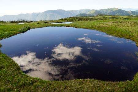 苗場山の高層湿原