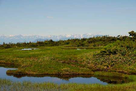 苗場山からの北アルプス