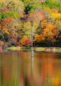 秋の鏡池