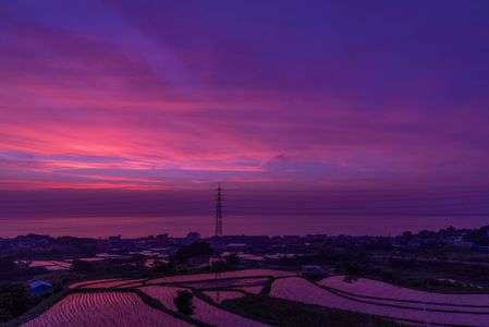 棚田に輝く夕焼け