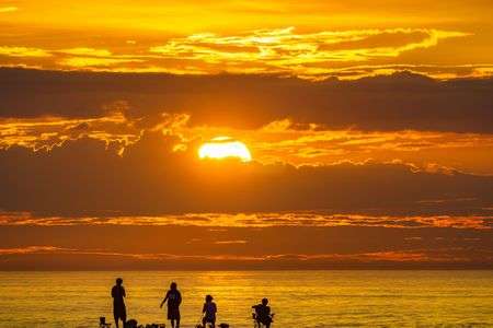 今夜の夕飯は任せて
