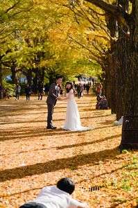 国営昭和記念公園