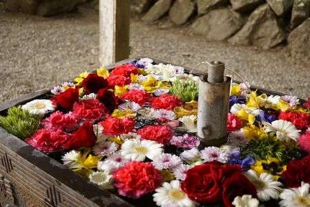 春の宝登山神社