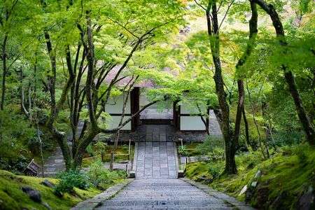 常寂光寺・仁王門