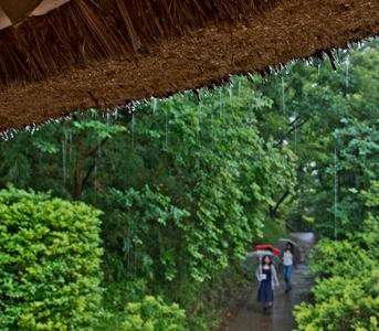 今日も雨降りにほん