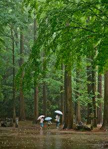 お母さんと一緒