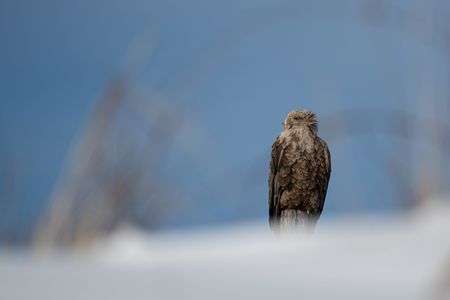 視線の先はどこへ