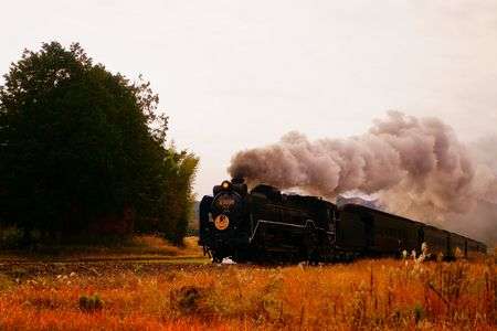 初冬の山路に響く熱い音