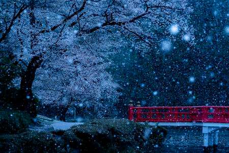 春雪の城址公園