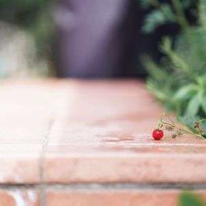 玄関先のイチゴ